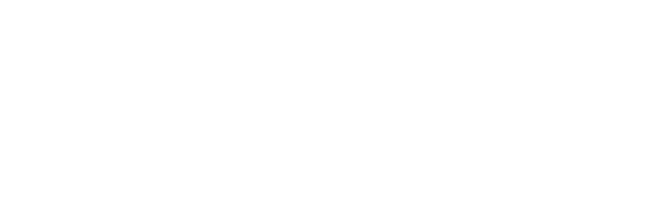 Paddis World – Built to drive. Kept alive.